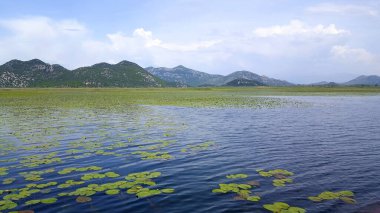 Skadar Gölü Balkan yarımadasındaki en büyük göl. Göl, Arnavutluk ile Karadağ arasındaki sınırda yer alıyor ve yüzeyin yaklaşık 2-3 'ü ikincisine ait..