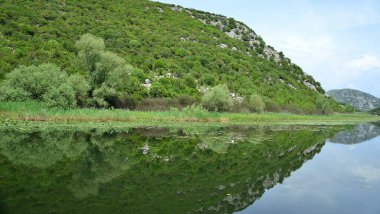 Skadar Gölü Balkan yarımadasındaki en büyük göl. Göl, Arnavutluk ile Karadağ arasındaki sınırda yer alıyor ve yüzeyin yaklaşık 2-3 'ü ikincisine ait..