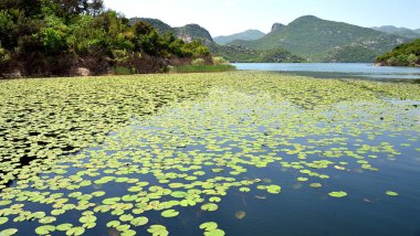 Skadar Gölü Balkan yarımadasındaki en büyük göl. Göl, Arnavutluk ile Karadağ arasındaki sınırda yer alıyor ve yüzeyin yaklaşık 2-3 'ü ikincisine ait..