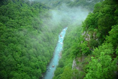 Karadağ, Zabljak, Tara Vadisi, Corceviç Köprüsü, 365 metre uzunluğunda ve 172 metre yüksekliğinde bir kemer köprüsü. 1940 'ta açılışı yapıldığında. Lazar jaukoviç 'in Anıtı