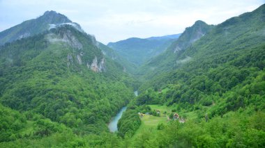 Karadağ, Zabljak, Tara Vadisi, Corceviç Köprüsü, 365 metre uzunluğunda ve 172 metre yüksekliğinde bir kemer köprüsü. 1940 'ta açılışı yapıldığında. Lazar jaukoviç 'in Anıtı