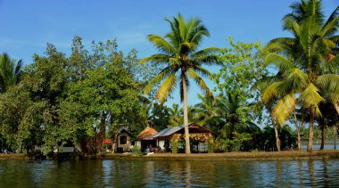Hindistan, BACKWATERS, ALAPPHUZA VİEW