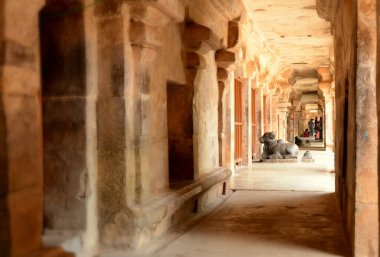 İNDİYA, THANJAVUR, BRIHADISHWARA TEMPLE VİEVİ