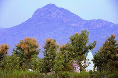 Hindistan, TiRUVANNAMALAI, ARUNACHALESWAR TEMPLE,