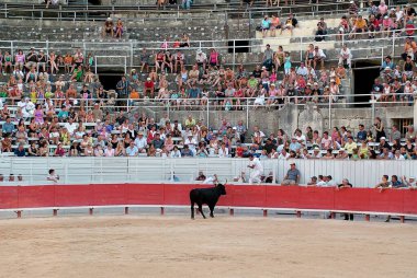 FRANCE,ARLES,Arena located in the Roman amphitheater of Arles, Camarguan cockade race clipart