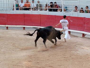 FRANCE,ARLES,Arena located in the Roman amphitheater of Arles, Camarguan cockade race clipart