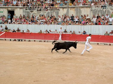 FRANCE,ARLES,Arena located in the Roman amphitheater of Arles, Camarguan cockade race clipart