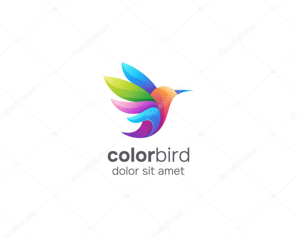 Colorful humming bird logo gradient