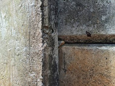 Çatlaklı beton bir duvarın yüzey dokusu.