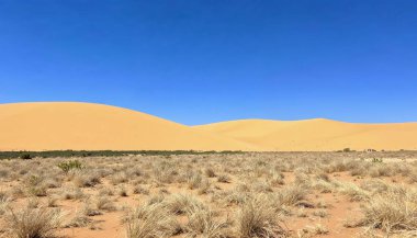 Afrika manzarası, güzel günbatımı kumulları ve Namib çölünün doğası, Sossusvlei, Namibya, Güney Afrika