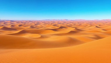 Afrika manzarası, güzel günbatımı kumulları ve Namib çölünün doğası, Sossusvlei, Namibya, Güney Afrika