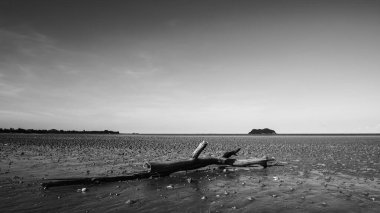 Dalgalar, alçak gelgitte ıslak bir sahilde dinleniyor, açık bir gökyüzünün altındaki uzak bir adayı gösteriyor, Tayland 'daki Chumphon' da siyah ve beyaz tonlarda yakalanıyor.