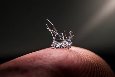 Parmak ucunda dinlenen ölü bir sivrisineğin makro fotoğrafı sivrisinek kaynaklı hastalıkların tehlikelerini ve koruyucu önlemlerin önemini vurguluyor.