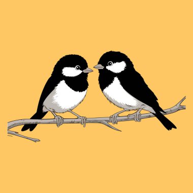 Two chickadees perched closely together on a branch clipart