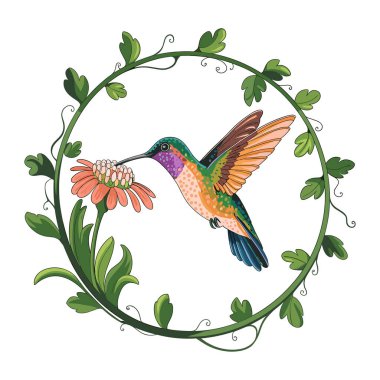 A colorful hummingbird feeding from a flower, framed by a circular vine adorned with leaves clipart