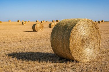 Hasattan sonra samandan bir saman yığını