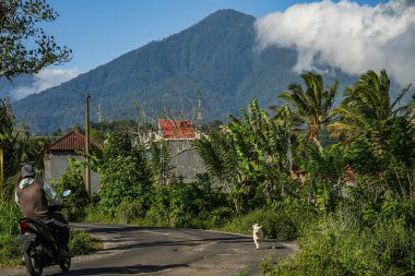 Endonezya, Bali 'de güzel bir manzara