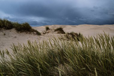 Greene 'deki kum tepeleri ve çimenler