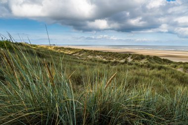 Kuzey denizindeki kumsal.