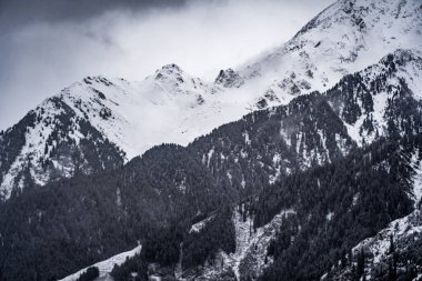 Kafkas dağlarının tepeleri karla kaplı. georgia, svaneti. yüksek kaliteli fotoğraf