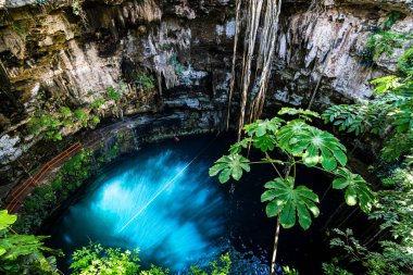 Cenote, Meksika 'nın güzel manzarası.