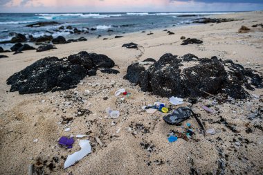 Okyanustaki atıklar, çevresel kirlilik. Vanuatu