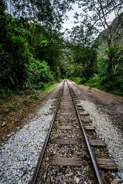 Mavi gökyüzünün altında ağaçlar ve çalılar olan güzel bir demiryolu görüntüsü, Aguas calientes, Peru