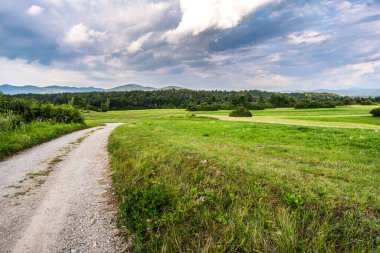 Dağlarda yolu olan güzel bir manzara..