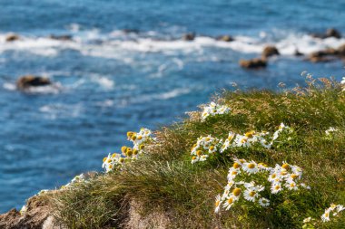 Güzel deniz manzarası