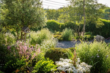Bitkilerle dolu güzel bir bahçe fotoğrafı.