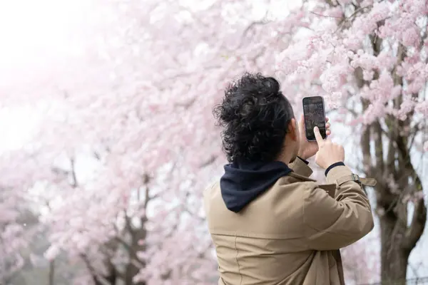 stock image man taking photo of cherry blossom in spring park 