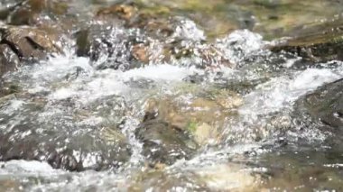 Dağlardaki köpüklü su akıntısı, video 