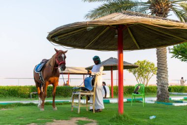 Dubai, BAE 'de at taşıyan bir adam.