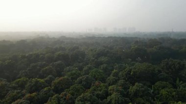 Bangladeş 'in sisli ormanlarına kuşların bakışı