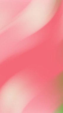 Sosyal medya paylaşımları, ürün ambalajları, davet tasarımları, web sitesi afişleri ve kadın markalaşma projeleri için uygun pembe ve beyaz gradyan arka plan.