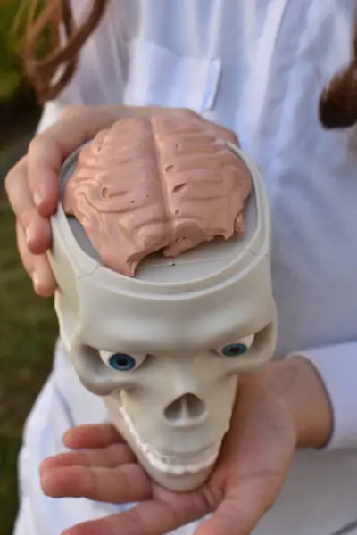 Yapay zekaya sahip insan beyninin dikey görüntüsü.