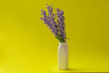 Renkli arkaplanda lavanta vazosu