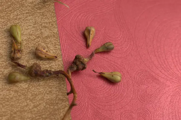 Yapraklı kırmızı gül ve kahve çekirdeği