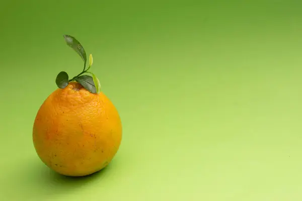 yeşil yapraklı turuncu