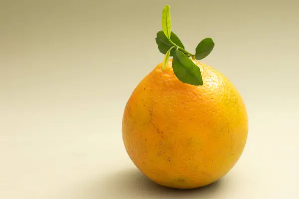 Beyaz arkaplanda turuncu