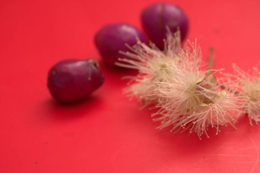 beyaz zemin üzerine taze kırmızı turp