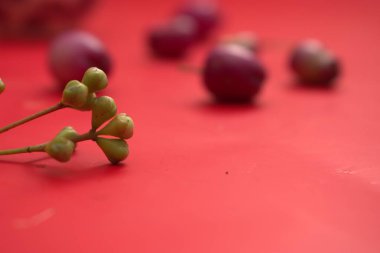 red and black grapes on a white background