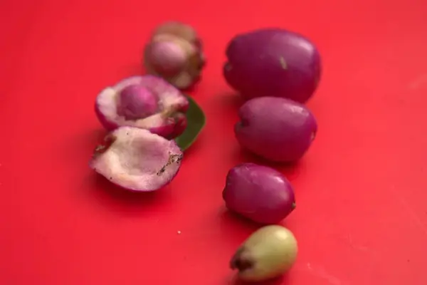 Taze olgun mor ve pembe turplara yakın.