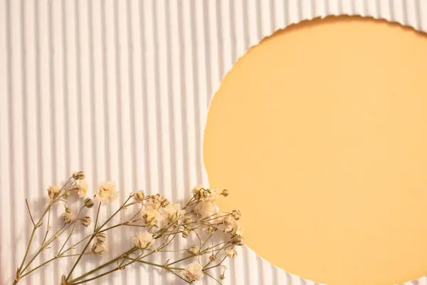 Doğal balmumundan yapılmış yuvarlak çerçeve beyaz arkaplan.