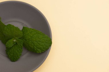 Sıcak arka planda kırsal minimalizm