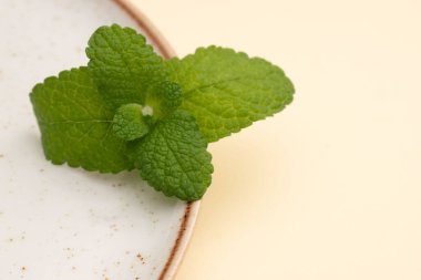 Cam şişelerde yeşil yapraklar ve lahanalar. Pastel arka planda botanik minimalizm.