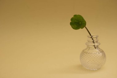 Sıcak arka planda kırsal minimalizm