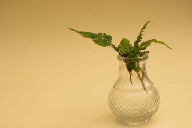 Sıcak arka planda kırsal minimalizm