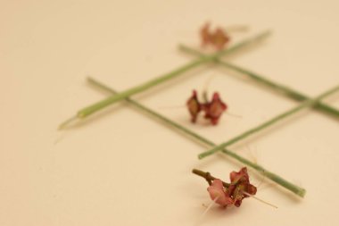 Tarafsız arka planda kurak eğrelti otları ve vahşi dallar botanik yaşamında