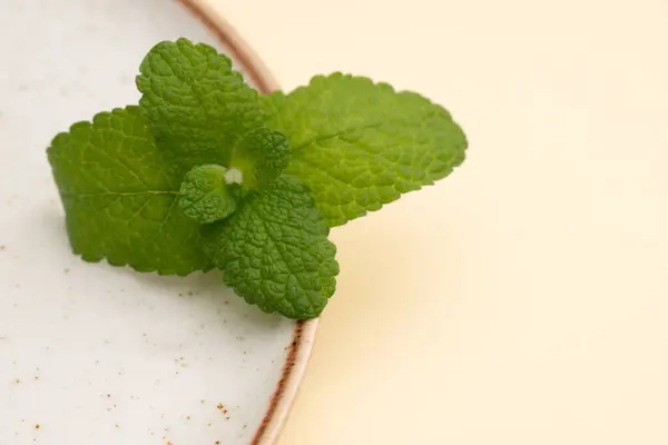 Cam şişelerde yeşil yapraklar ve lahanalar. Pastel arka planda botanik minimalizm.